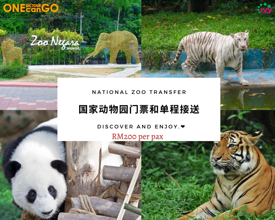 One Can Go SIC Tour - National Zoo Ticket and Transfer